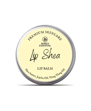 Korus Essential Lip Shea with goodness of Jojoba Oil Lip Balm - 8 grams