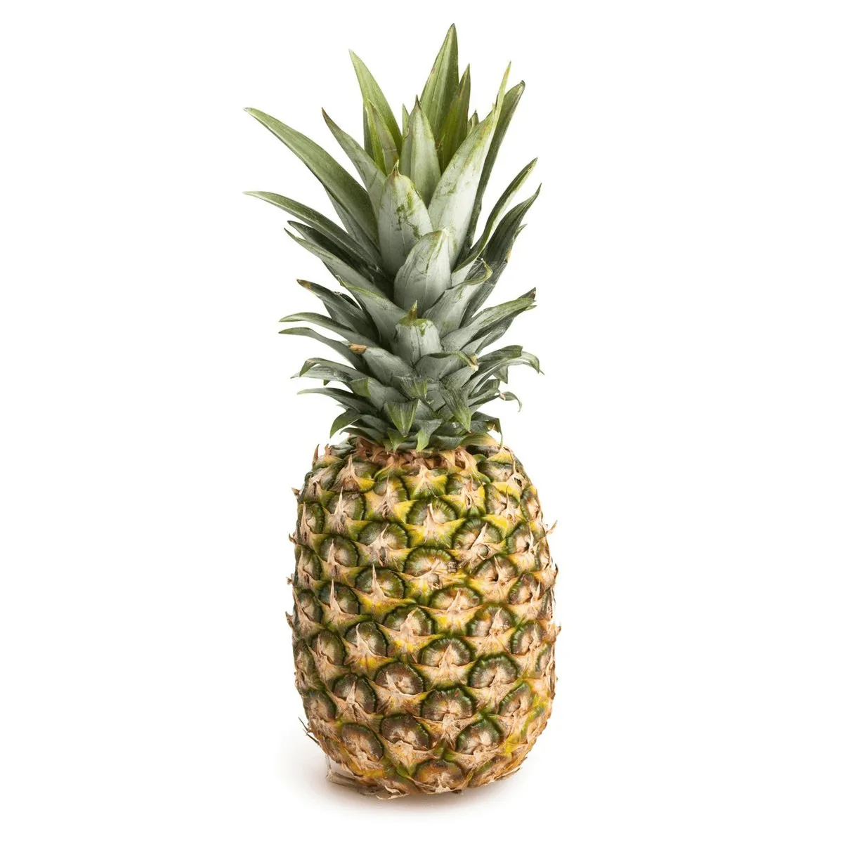 Pineapple - (1.250 Kg - 1.500 Kg)